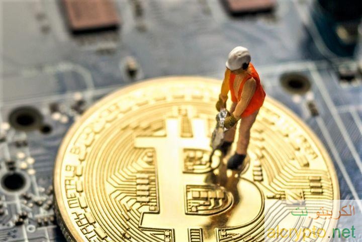 37010615ec.jpg (720×481)