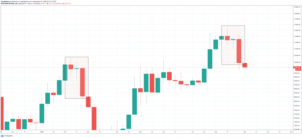 btc دولار الخميس الأسود 2