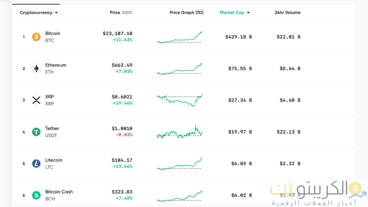تتجاوز قيمة Bitcoin 23700 دولار ، ويدعي النقاد أنها `` فقاعة '' ، يقول محلل Onchain أن أسعار 100 ألف دولار `` منخفضة للغاية ''