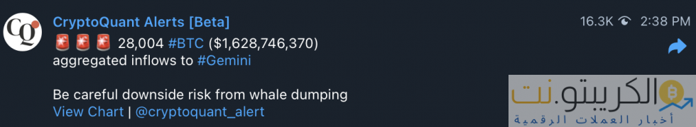 بيع حوت البيتكوين btc