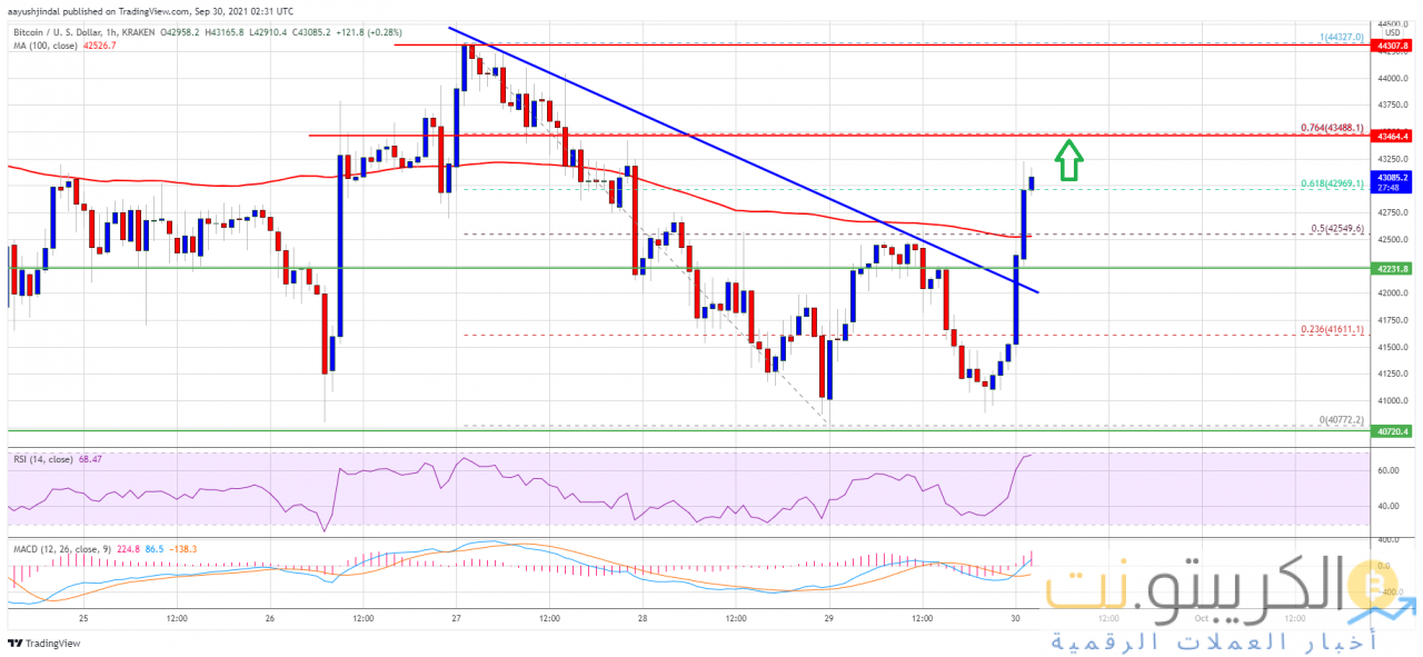 سعر البيتكوين