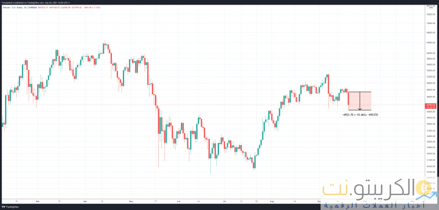 ماكرو سعر البيتكوين
