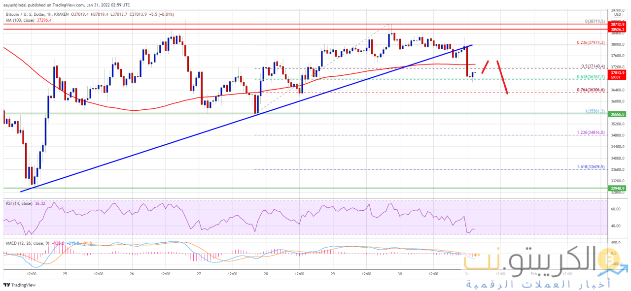 سعر البت كوين