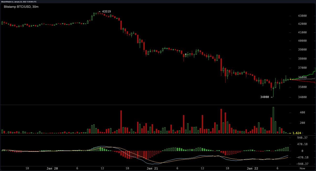 ينخفض سعر البيتكوين إلى أقل من 36 ألف دولار ، وتزداد هيمنة بيتكوين ، ويترك المليارات من اقتصاد العملة المشفرة ينخفض سعر البيتكوين إلى أقل من 36 ألف دولار ، وتزداد هيمنة بيتكوين ، ويترك المليارات من اقتصاد العملة المشفرة