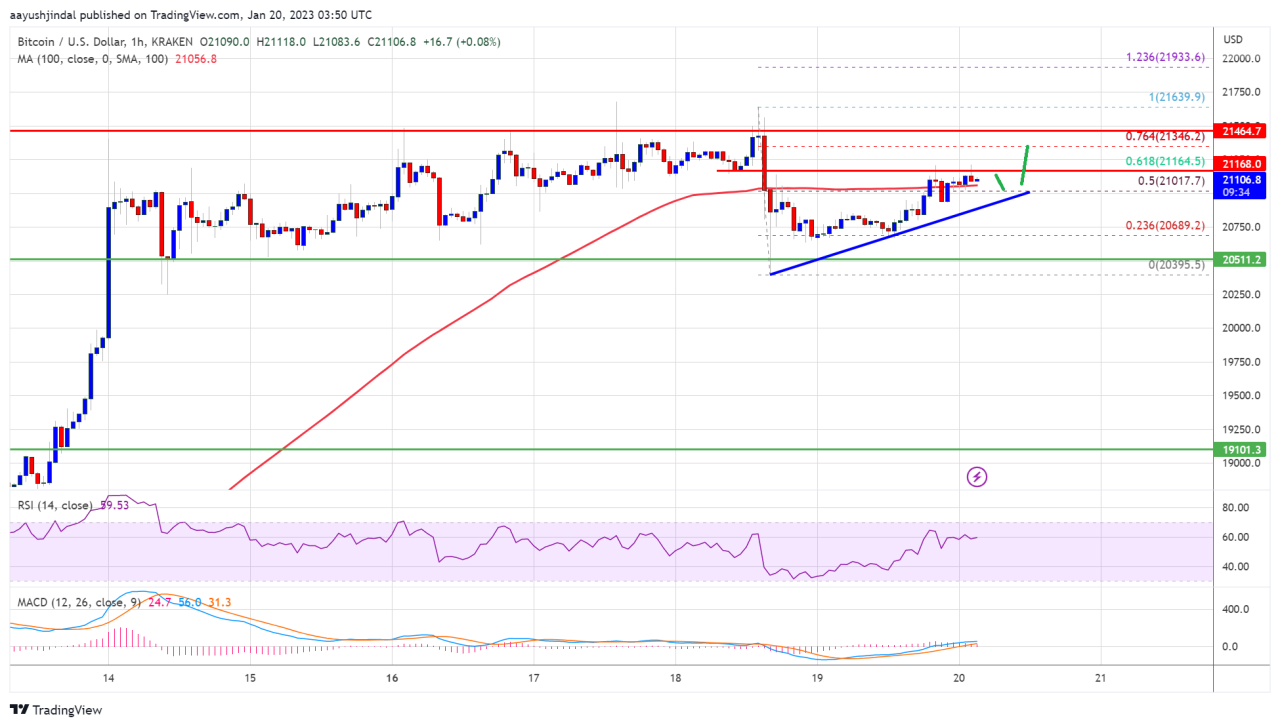 سعر البيتكوين